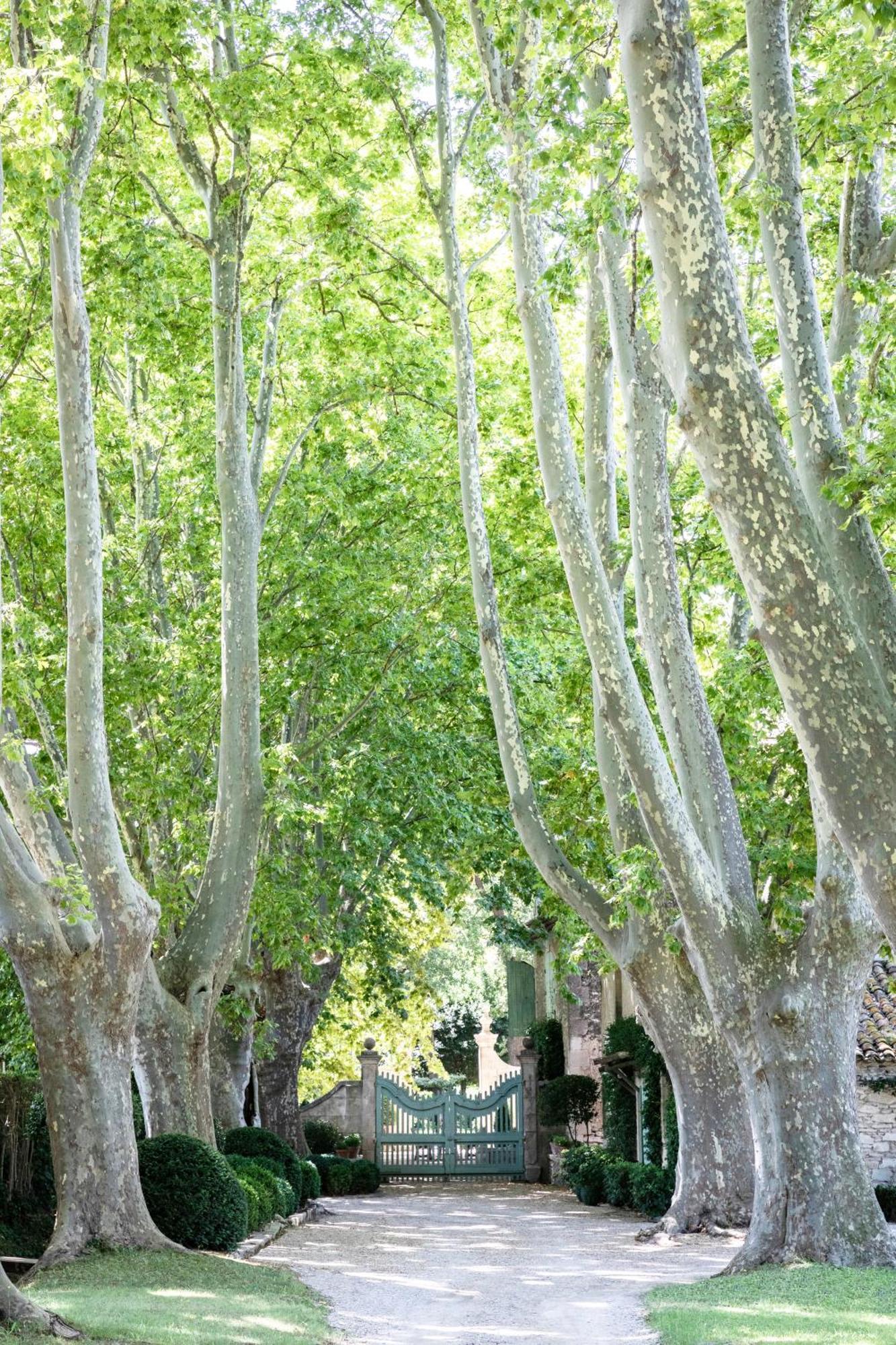 مبيت وإفطار Saint-Rémy-de-Provence Domaine De Chalamon المظهر الخارجي الصورة